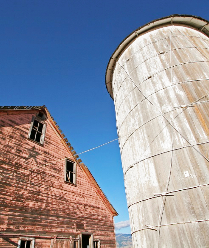 pink barn and weathered silo in Montana